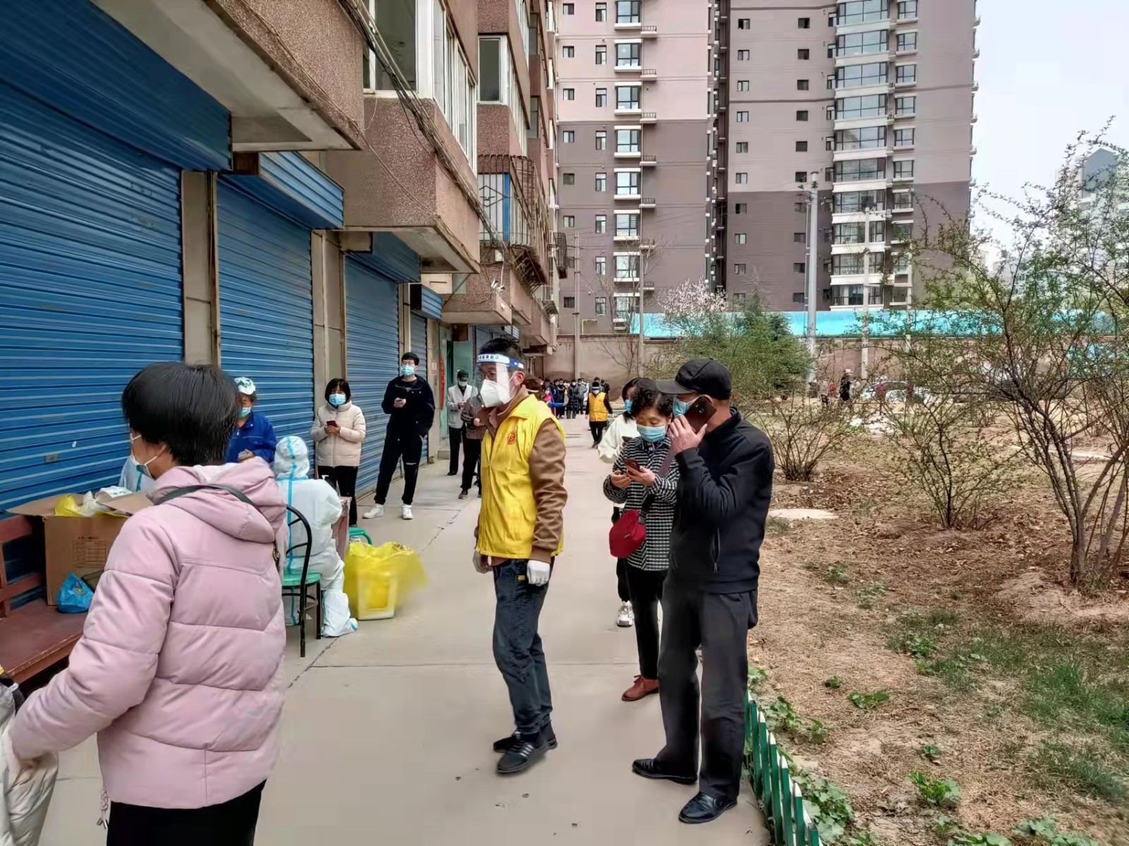 1647840929806878.jpg 1647840929806878.jpg